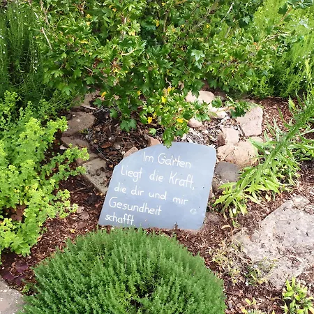 Schaefer アパート