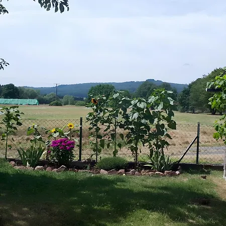 Schaefer Steinau an der Strasse